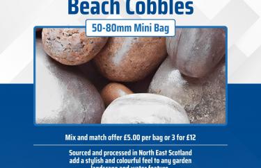 BEACH COBBLES BEACH COBBLES